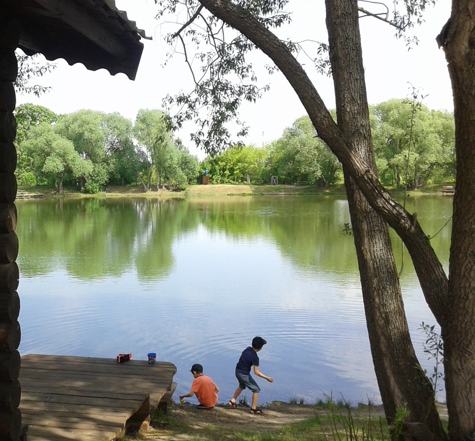 Беседка на берегу озера, отдых, рыбалка, пруд Авиатор, в черте Барнаула